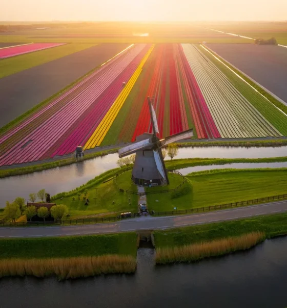 10-tips-to-improve-your-drone-photography-2